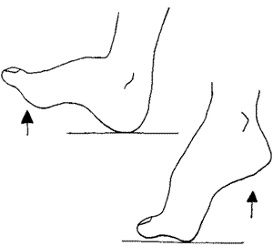 Progress to these exercises as the pain and swelling improve