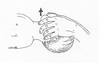 Jaw Thrust