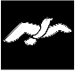 Bird-small