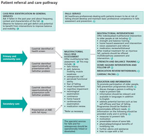 link to falls assessment print version
